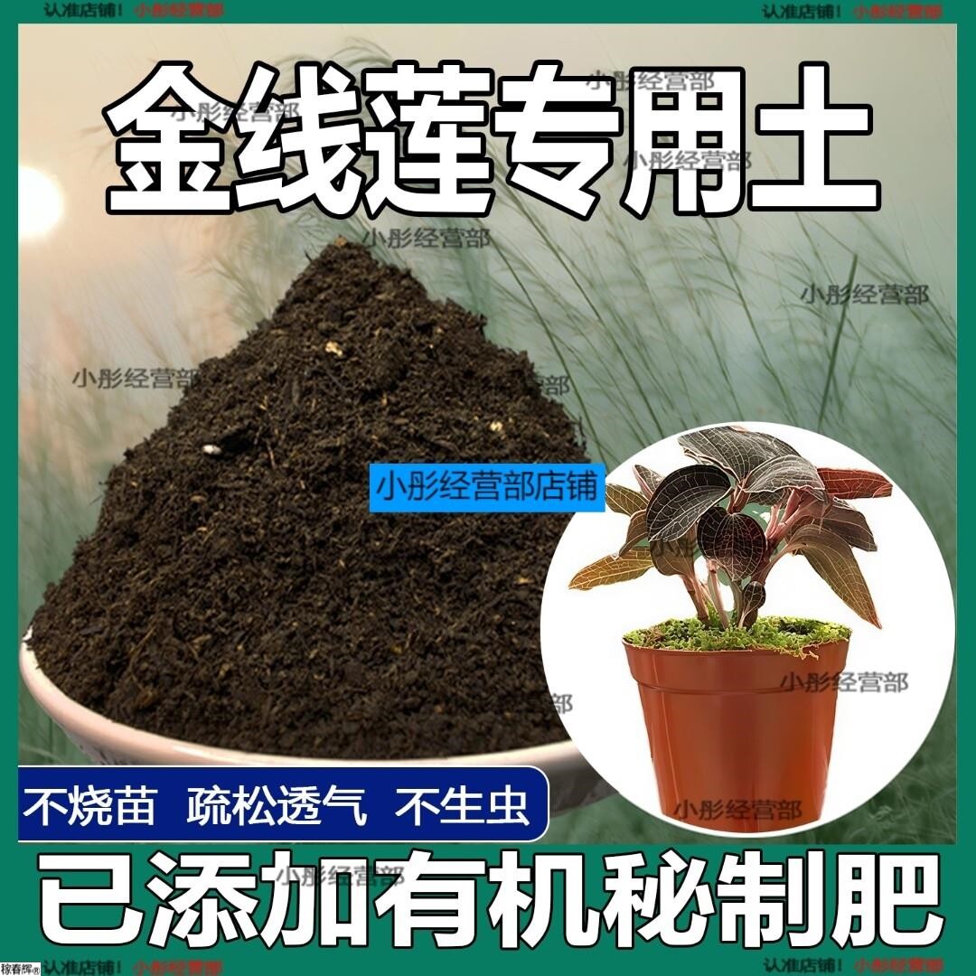 金线莲专用土金线莲专用营养土盆栽土养花种花土通用种植土壤肥料