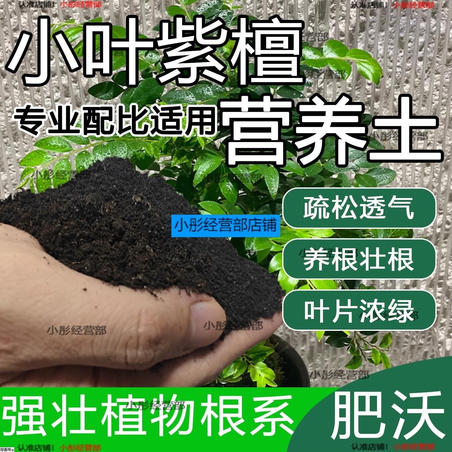 小叶紫檀专用土盆栽配方肥料小叶紫檀营养土透气泥土壤养花种植土