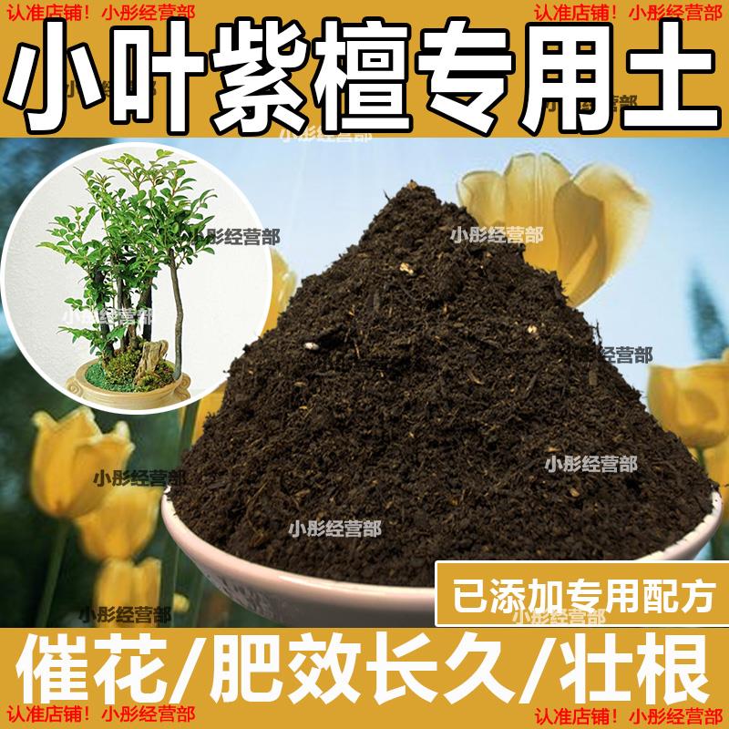 小叶紫檀专用土盆栽配方肥料小叶紫檀营养土透气泥土壤养花种植土