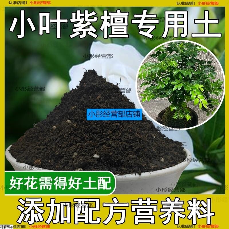 小叶紫檀专用土盆栽配方肥料小叶紫檀营养土透气泥土壤养花种植土