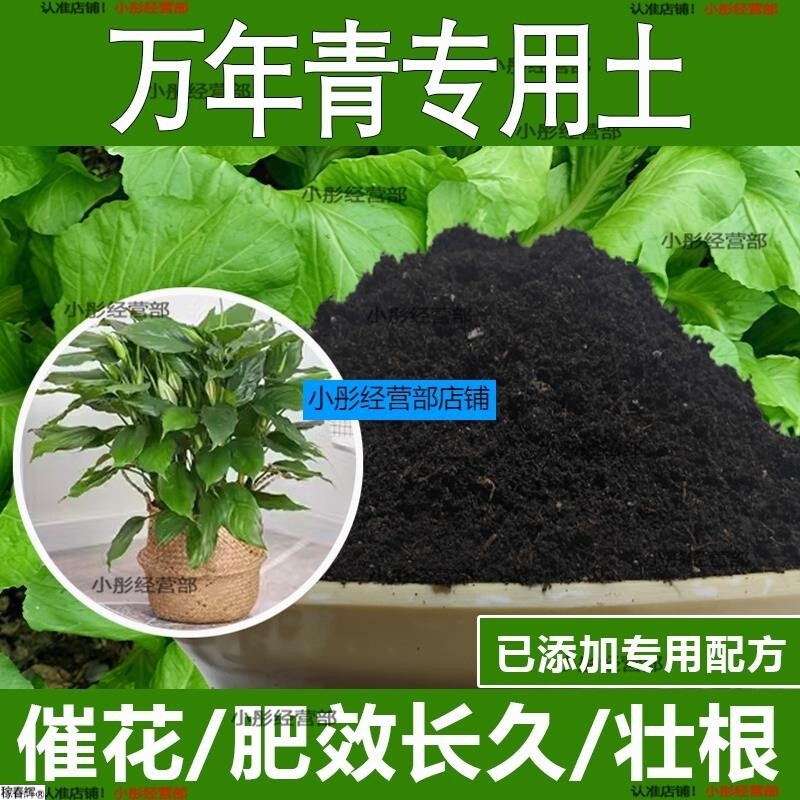 万年青专用土万年青专用营养土酸性土种植土通用土有机土肥料土壤