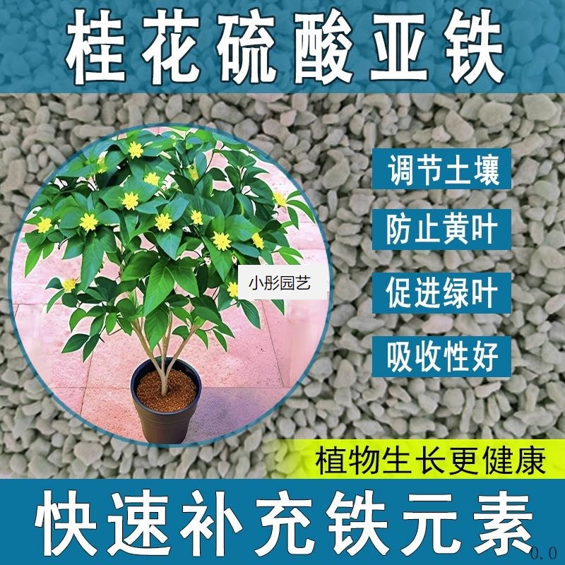 桂花硫酸亚铁花肥料养花绿植通用调节生长喜酸植物专用肥