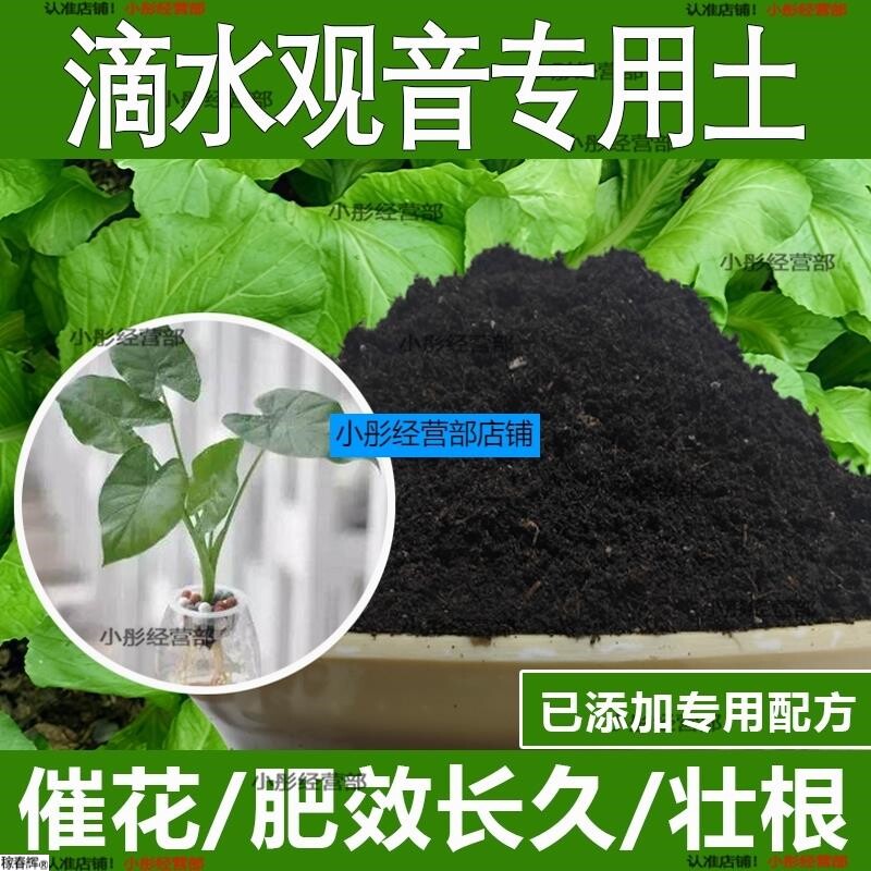 滴水观音专用土滴水观音专用营养土酸性土种植土通用土有机土肥料