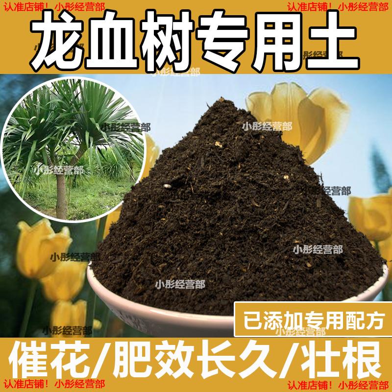 栽种龙血树专用土壤肥料通用型混合专用通用花土蓬松泥土无菌土壤
