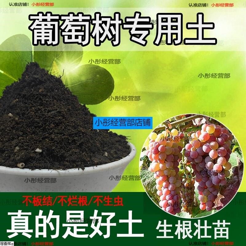 葡萄树专用土肥料室内种植育苗葡萄树种树营养土有机土土壤栽培土