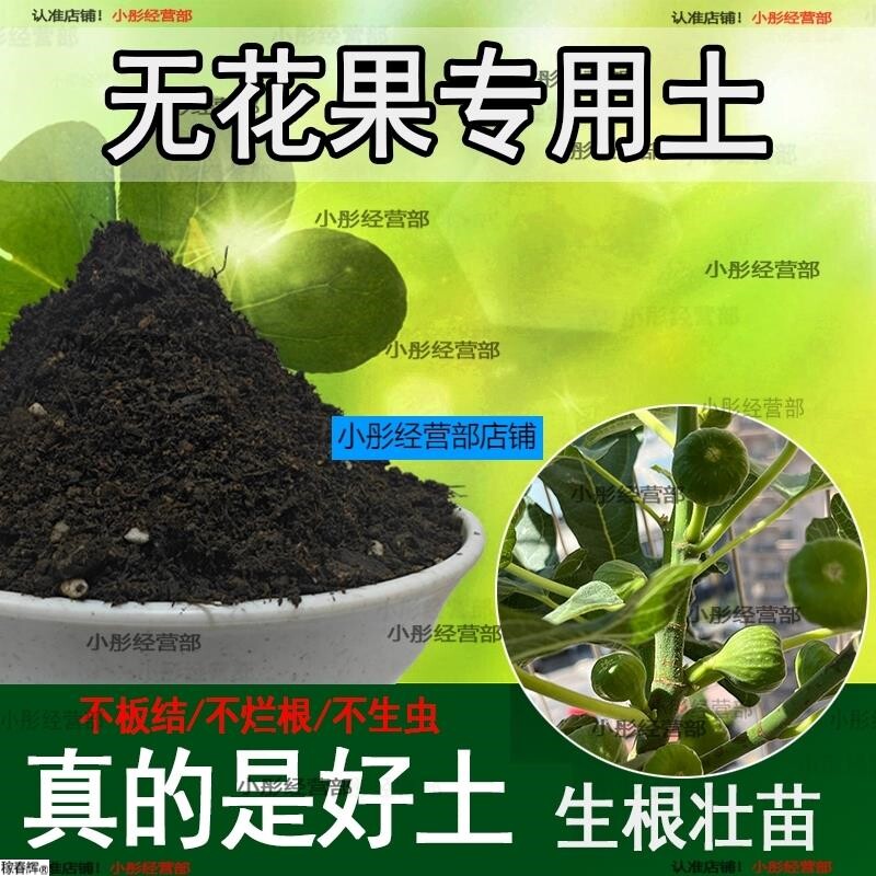 无花果专用土盆栽营养土果树专用土无花果营养土壤种植土有机肥料