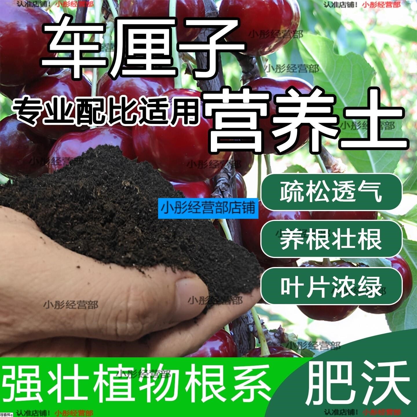 车厘子专用土樱桃树专用营养土盆栽土养花种花土通用种植土壤肥料