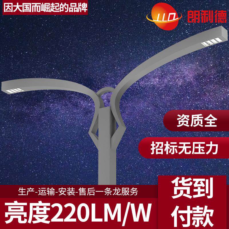 LED路灯60W00W50W200W户外道路照明高杆厂家6米8米0米2米4m