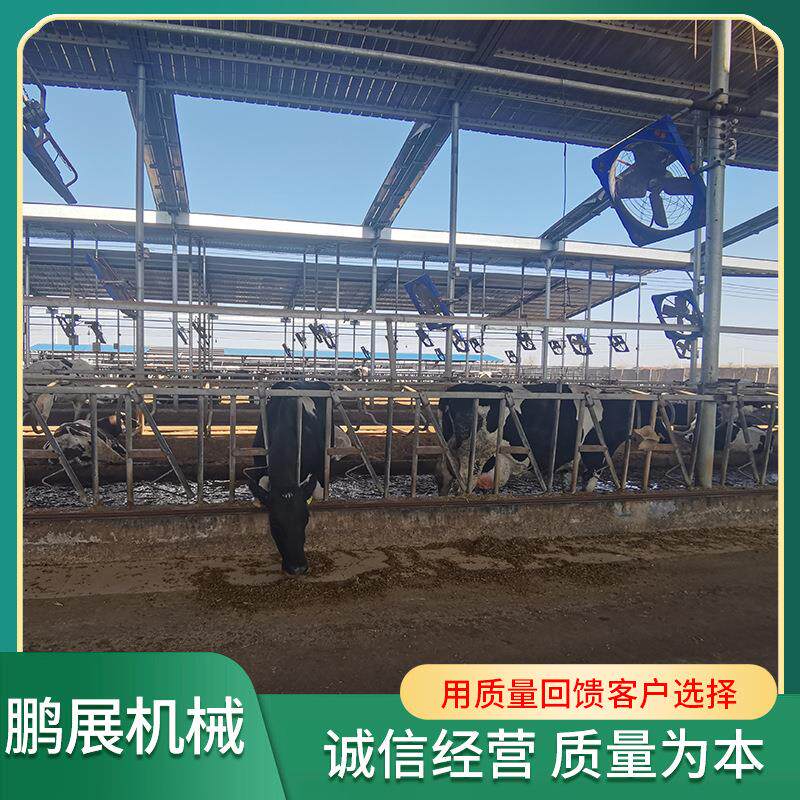 现货供应牛颈夹养牛牧场用畜牧设备牛颈夹自锁式牛颈夹