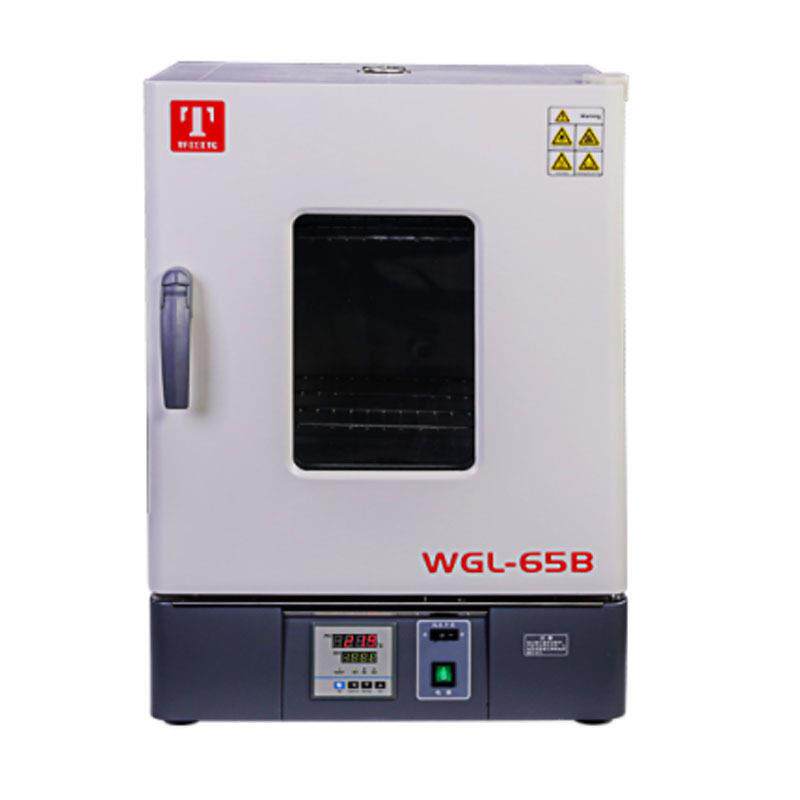 天津泰斯特WGL-45B立式电热恒温鼓风干燥箱烘箱