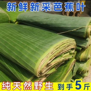 云南特产芭蕉叶做糍粑粽子糕点傣式包烧摆盘烤鸡