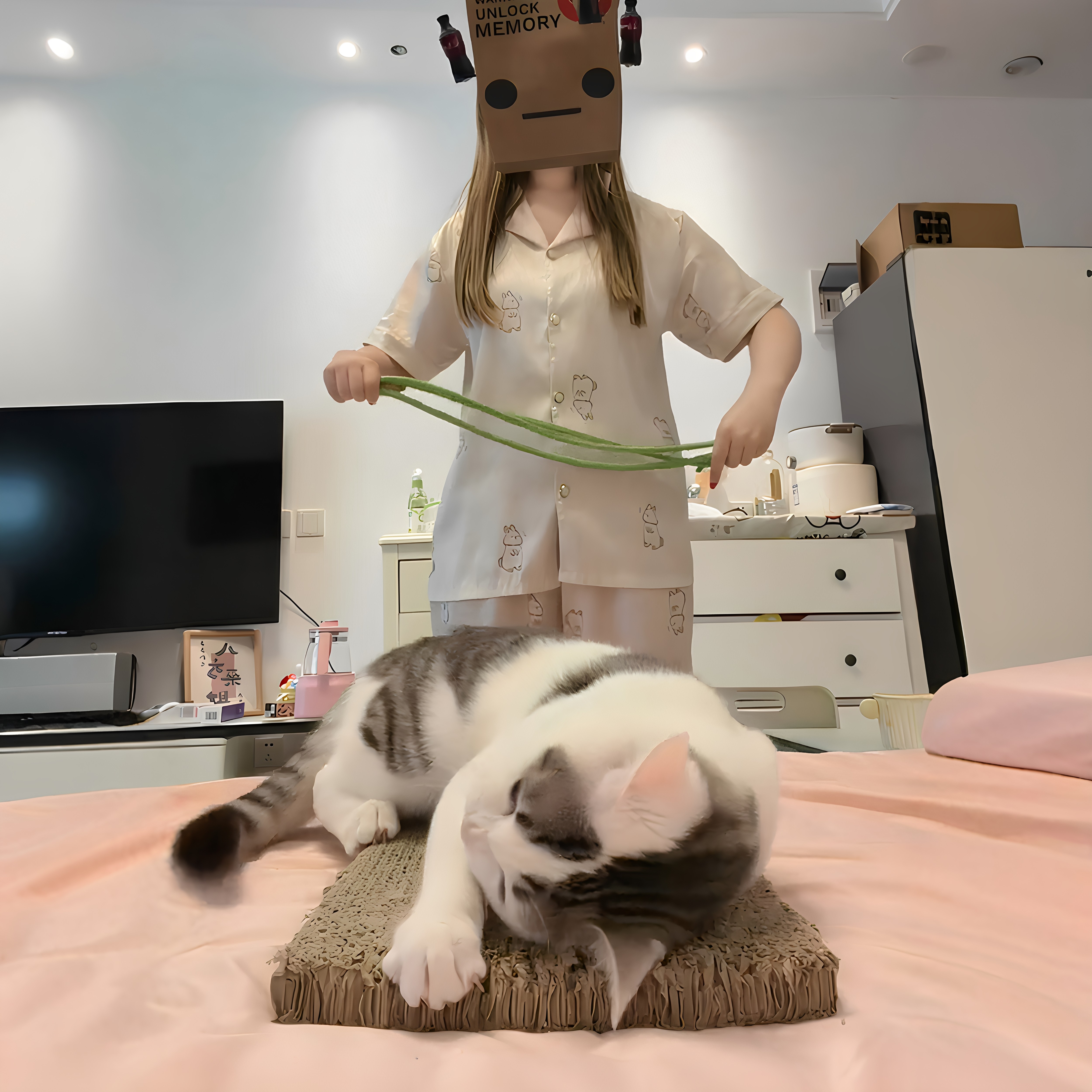 仿真豆橛子豆角鞭子抽打猫咪屁股逗猫棒防乱尿宠物小猫互动惩罚棒
