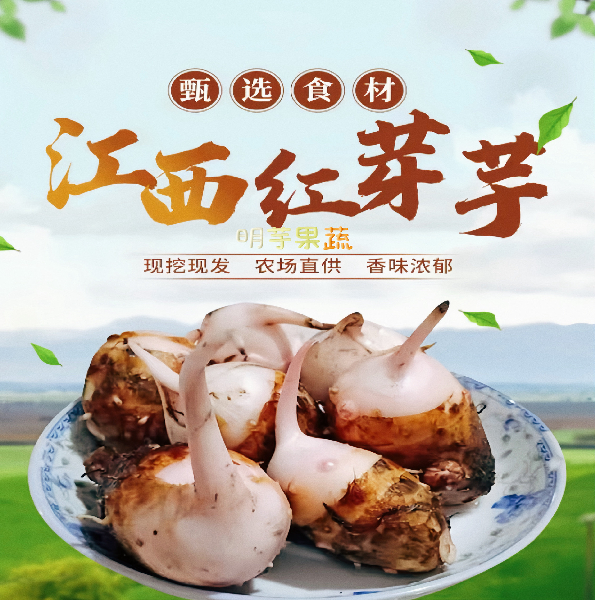红芽芋头江西特产农家自种新鲜蔬菜小芋艿泥芋仔毛芋软糯现挖当季