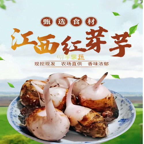 江西农家红芽芋头现挖软糯
