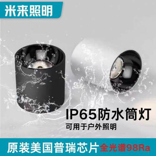 led明装防水射灯 IP65防水筒灯深防眩 室内户外门头阳台飞机场
