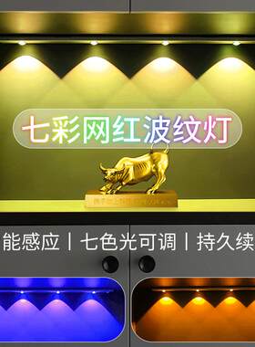 LED感应灯七彩光猫眼波纹灯玄关衣鞋橱柜灯条山丘投影氛围灯拍照