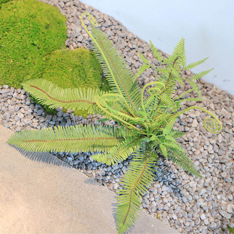 仿真蕨类植物肾蕨波斯草造景软胶蕨叶蕨草植物墙配材景观装饰绿植