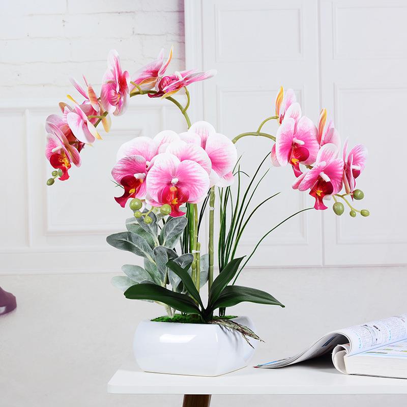 仿真花胶片蝴蝶兰套装花瓶盆栽假花装饰花客厅玄关手感花摆设花艺