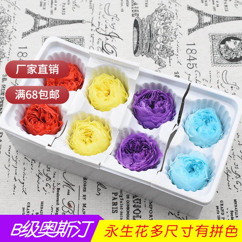 幻花永生花B级奥斯汀整盒diy鲜花花材材料玻璃罩礼盒钥匙链配材
