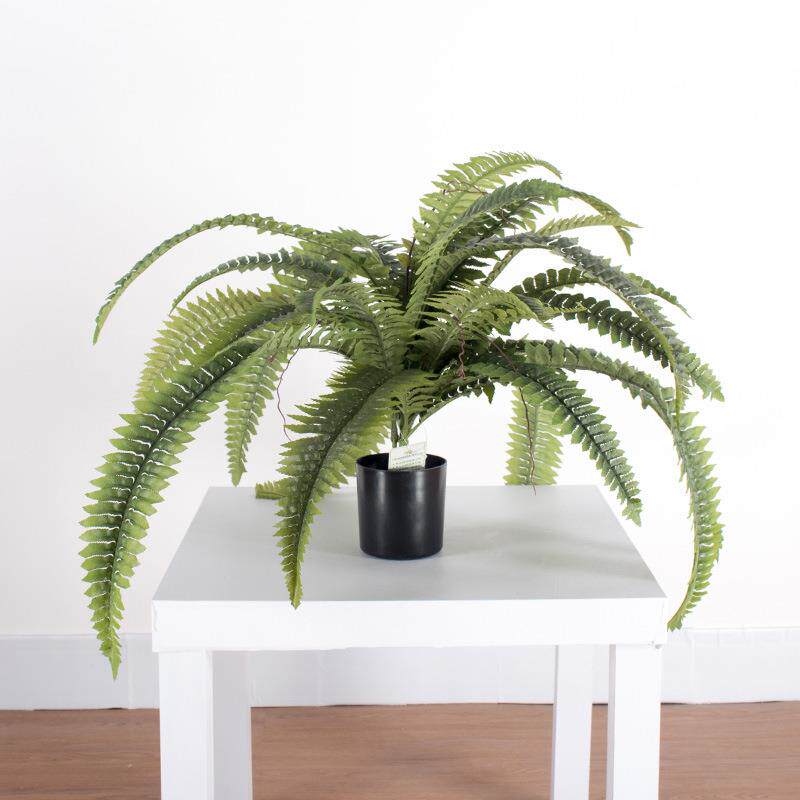 仿真蕨草植物小盆栽 人造小盆景摆件造景装饰波斯草树芒蕨草植物
