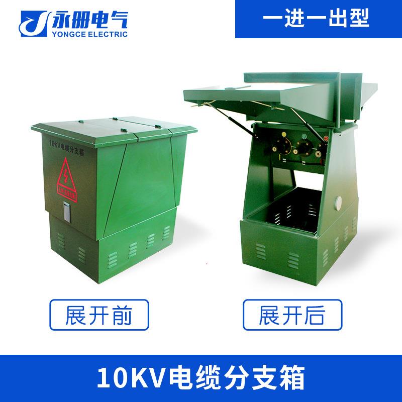 10kv高压电缆分支箱充气柜环网柜带开关户外开闭所双电源切换定做
