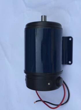 110ZYT153A1直流电机直流永磁系列电动机700W110V直流电机图片