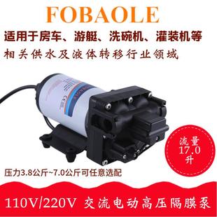 17.0升交流电动高压隔膜泵110V F43款 220V家用增压喷雾器自吸水泵