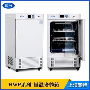 上海LRH微生物细菌培养箱实验室智能恒温生化培养箱