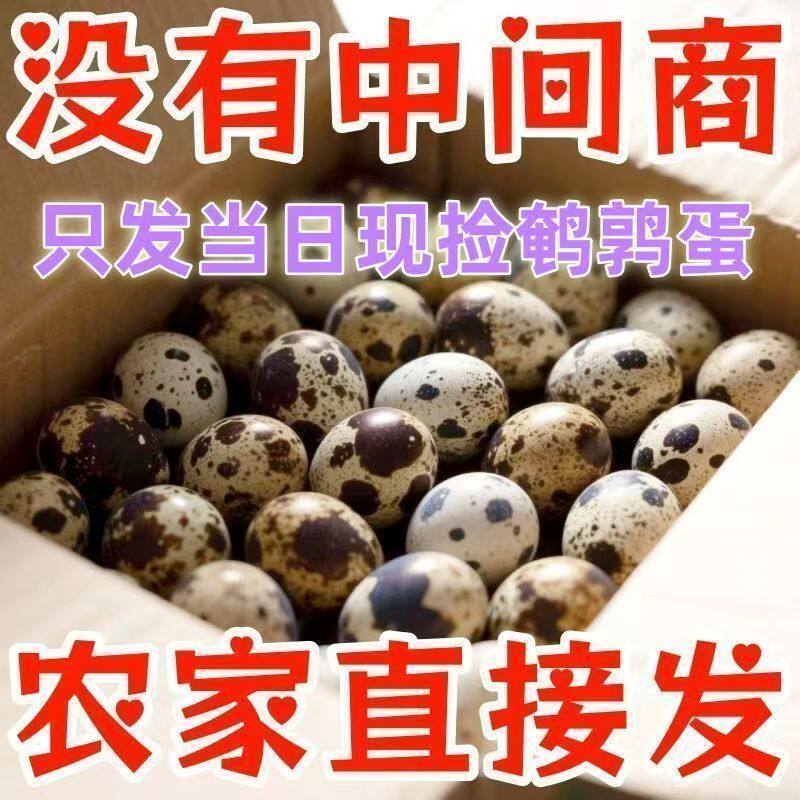 【新鲜鹌鹑蛋84枚】生蛋绿色杂粮生鲜蛋孕妇宝宝辅食鹑鸟蛋鲜