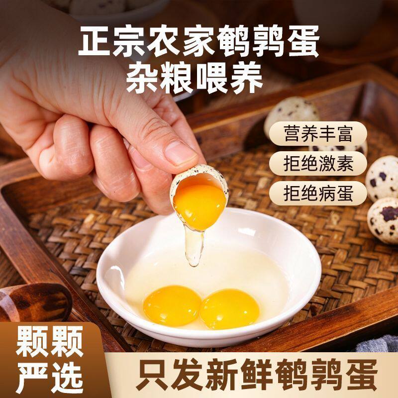 【新鲜鹌鹑蛋84枚】生蛋绿色杂粮生鲜蛋孕妇宝宝辅食鹑鸟蛋鲜