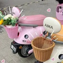 电动车后车筐电瓶车篓后尾车篮前