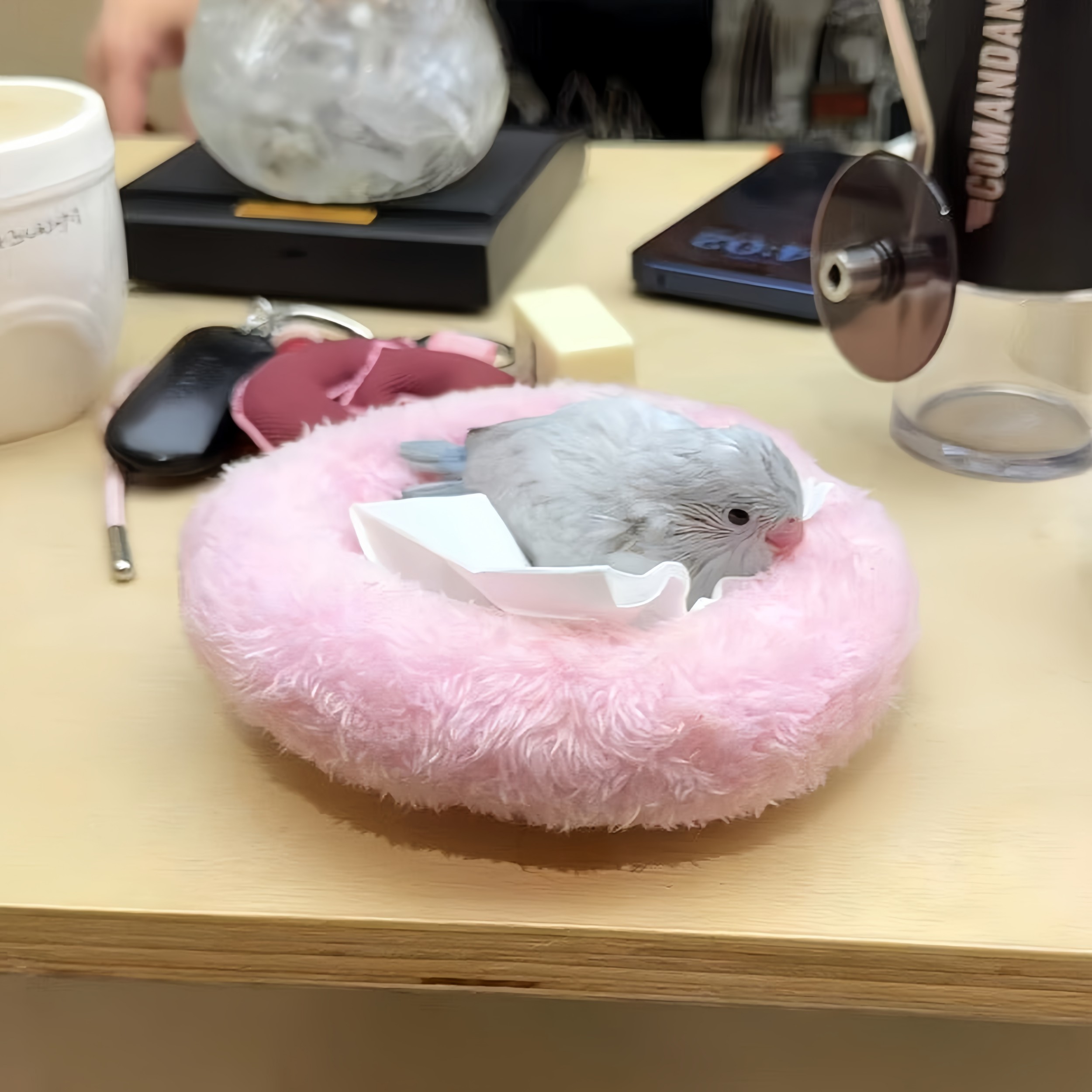 鹦鹉暖窝棉垫兔绒小鸟圆形睡觉垫子助睡眠牡丹过冬仓鼠棉窝保暖垫