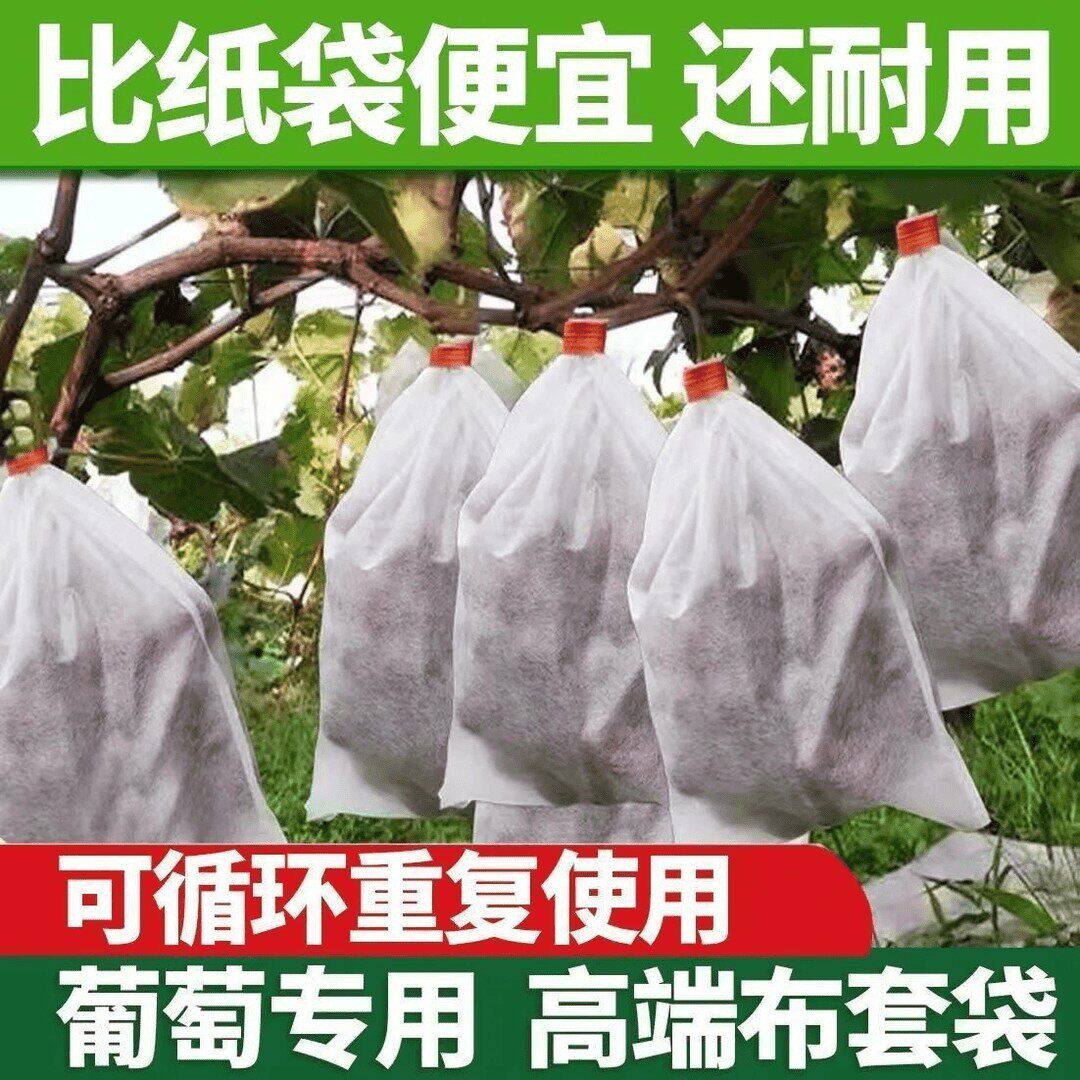 无纺布葡萄套袋防鸟防虫透气防雨