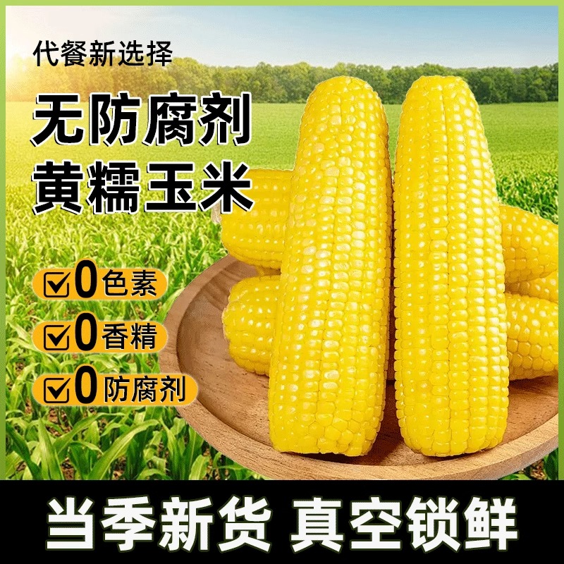 东北新鲜真空黏玉米甜糯玉米棒非转基因代餐鲜食玉米棒苞米
