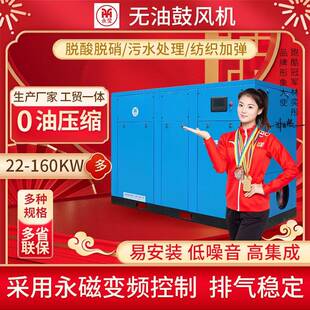 污水处理永磁变频无油螺杆鼓风机空压机45/55/75kw9.6立方纺织