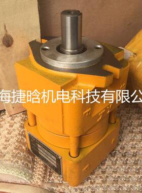 上海液压泵NB2-G10F铸铁直齿共轭内啮合齿轮泵