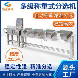 称重分拣设备分选机厂家食品海鲜水产在线选别机重量检测称量机