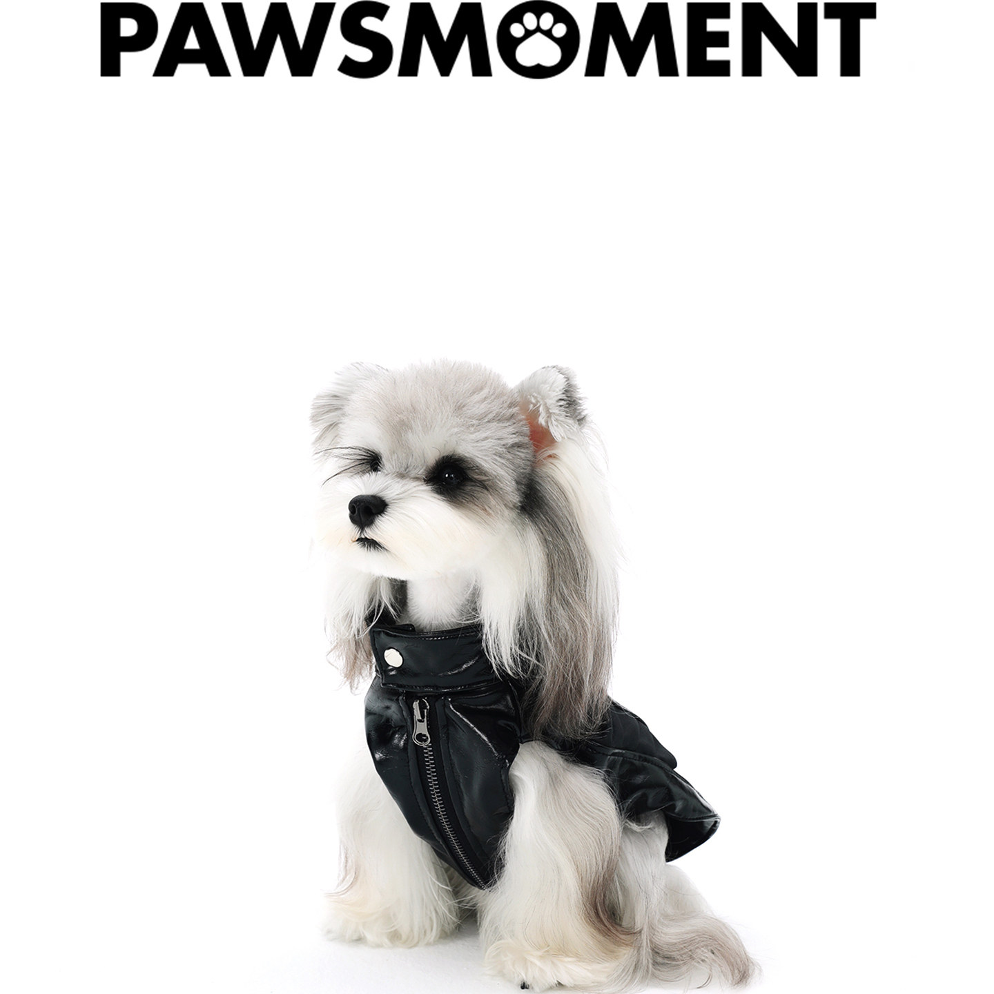 PAWSMOMENT宠物皮衣外套比熊马尔济斯小型犬宠物狗狗泰迪防水