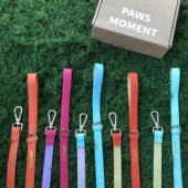 真皮双面牵引宠物外出牵引绳柔软舒适宠物真皮双面牵引