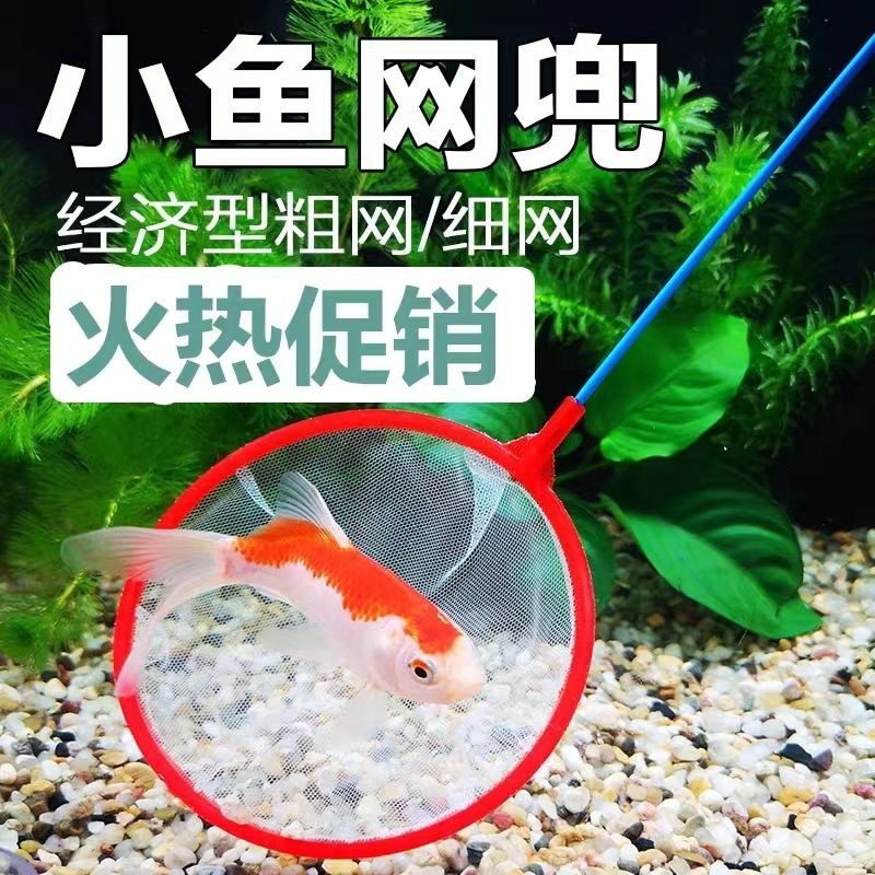 鱼缸捞鱼网水族箱用品大全图片