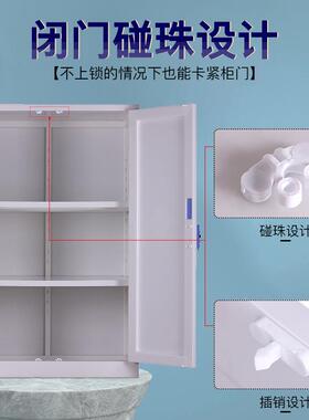 EBU定制品实室器皿柜危险化学品存放柜双锁验药p安全柜耐酸碱p酸