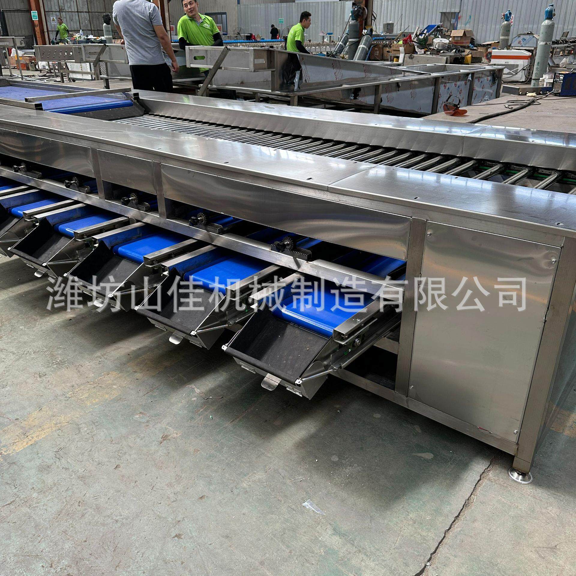 大型山楂分选机DXO工业机核桃肉制品加工设备