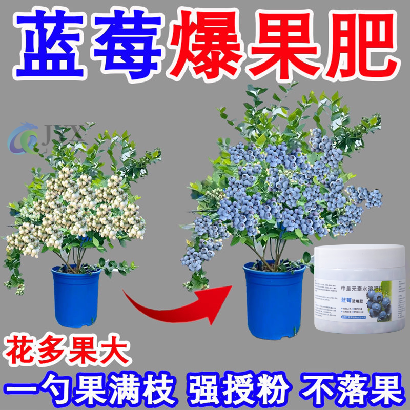 蓝莓专用肥料硫酸钾复合肥蓝莓树果苗盆栽有机肥专用土酸性缓释肥