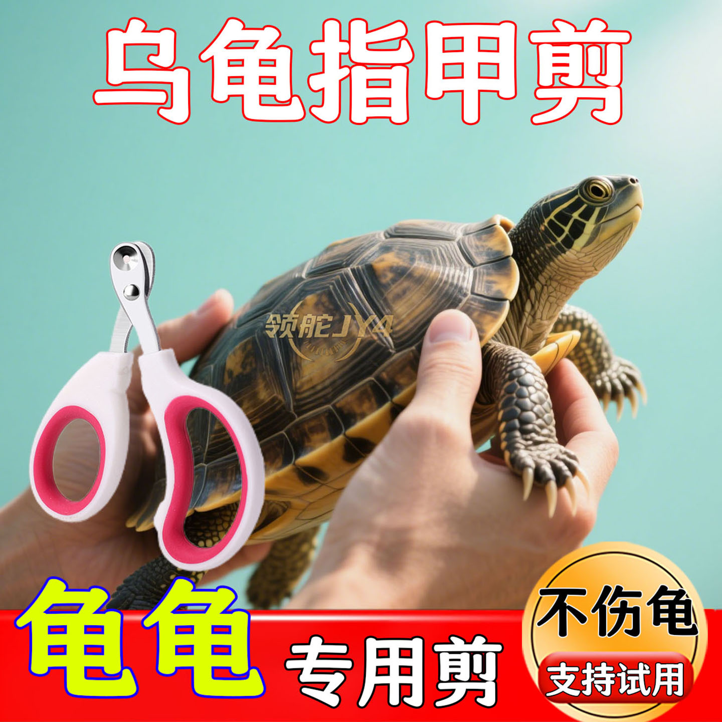 【限时活动】新手养龟套装专用