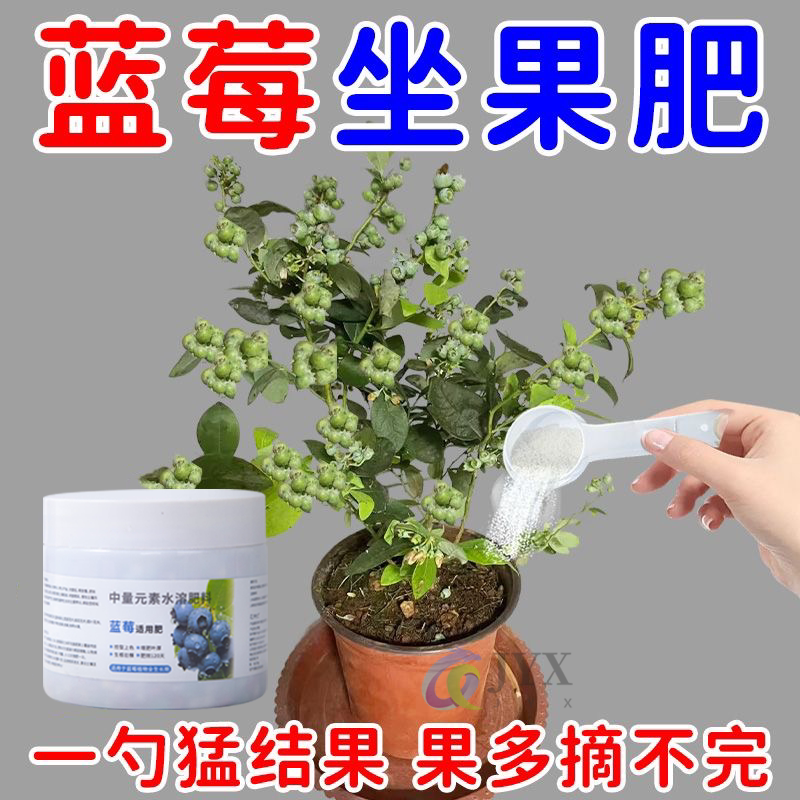 蓝莓专用肥料硫酸钾复合肥蓝莓树果苗盆栽有机肥专用土酸性缓释肥