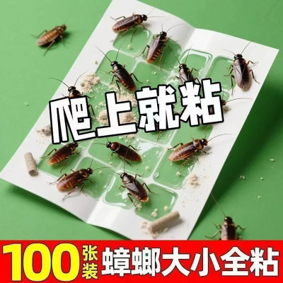 强力双粘无毒害引诱蟑螂灭小强