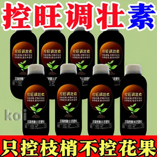 控旺调壮素控制旺长促花控稍不控果最新款文竹绿叶树苗通用营养液