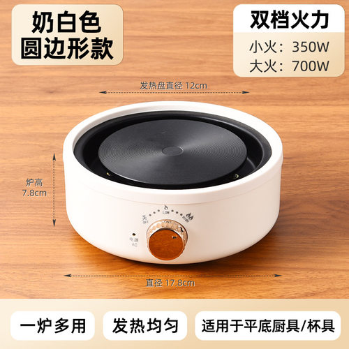 全玻璃养生壶多功能家用小型保温煮茶器烧水壶花茶壶110V美规
