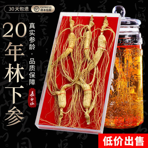 东北林下参20年野山参泡酒专用长白山人参生晒参30g至100g