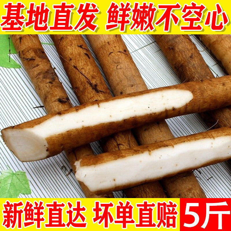 牛蒡根新鲜5斤兰陵现挖2025苍山农产正品野生黄金牛榜旁膀磅茶片